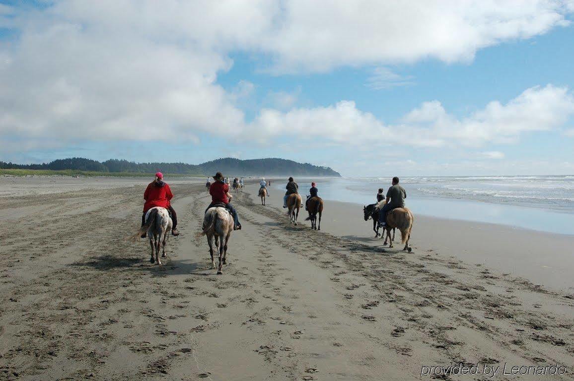 Best Western Inn At Face Rock Bandon Facilities photo